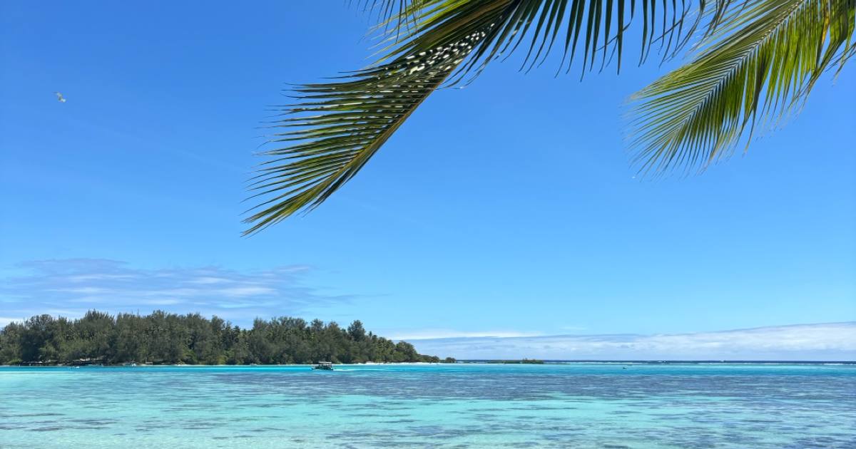 Kostenloser Info Call – Frauenretreat Polynesien